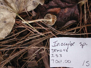  ( - dfmo0048)  @11 [ ] by-nc (2000) Unspecified Duke University