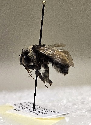  ( - JBWM0390169)  @11 [ ] by (2025) Jason Gibbs University of Manitoba