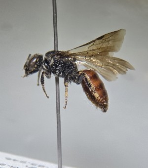  ( - JBWM0398695)  @11 [ ] by (2025) Jason Gibbs University of Manitoba