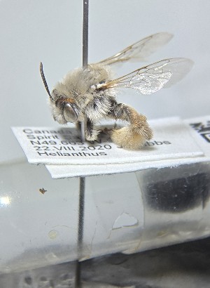  ( - WRME0507791)  @11 [ ] by (2025) Jason Gibbs University of Manitoba