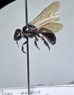  ( - WRME0519714)  @11 [ ] by (2025) Jason Gibbs University of Manitoba