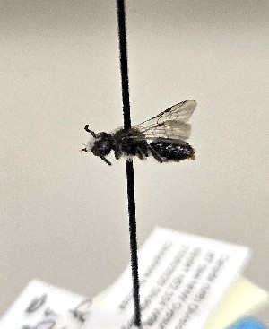  ( - WRMEKLB07167)  @11 [ ] by (2025) Jason Gibbs University of Manitoba