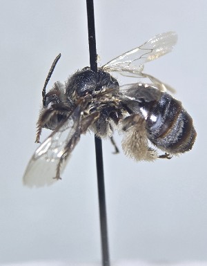  ( - WRME_EJH08514)  @11 [ ] by (2025) Jason Gibbs University of Manitoba