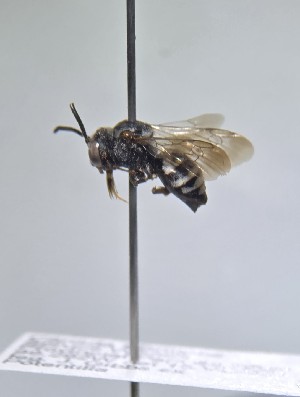  ( - WRME_JG00287)  @11 [ ] by (2025) Jason Gibbs University of Manitoba