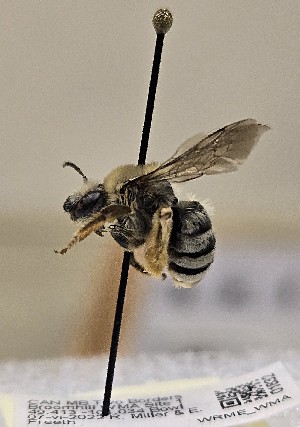  ( - WRME_WMA01832)  @11 [ ] by (2025) Jason Gibbs University of Manitoba