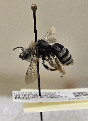  ( - WRME_WMA02593)  @11 [ ] by (2025) Jason Gibbs University of Manitoba