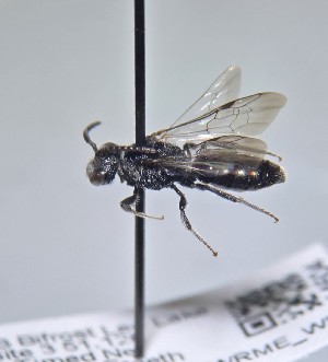  ( - WRME_WMA14604)  @11 [ ] by (2025) Jason Gibbs University of Manitoba