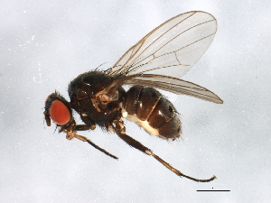  ( - BIOUG01669-C01)  @13 [ ] CreativeCommons - Attribution (2012) CBG Photography Group Centre for Biodiversity Genomics