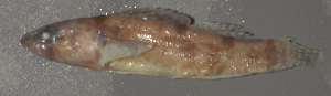  ( - 30622.01)  @12 [ ] Unspecified (default): All Rights Reserved  Unspecified Unspecified