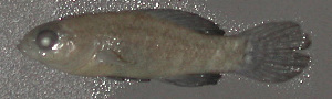  ( - 31678.03)  @12 [ ] Unspecified (default): All Rights Reserved  Unspecified Unspecified