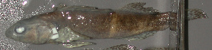 ( - 44372.01)  @12 [ ] Unspecified (default): All Rights Reserved  Unspecified Unspecified
