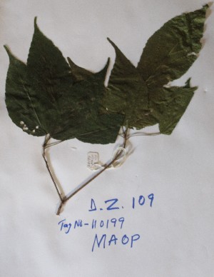  ( - DZ109)  @11 [ ] Unspecified (default): All Rights Reserved  Unspecified Unspecified