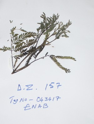  ( - DZ157)  @11 [ ] Unspecified (default): All Rights Reserved  Unspecified Unspecified