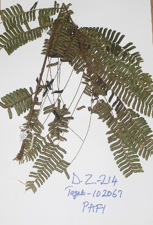  ( - DZ214)  @11 [ ] Unspecified (default): All Rights Reserved  Unspecified Unspecified