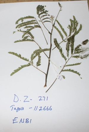  ( - DZ271)  @11 [ ] Unspecified (default): All Rights Reserved  Unspecified Unspecified