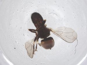  ( - BIOUG10005-G03)  @11 [ ] CreativeCommons - Attribution Share - Alike (2025) Centre for Biodiversity Genomics Centre for Biodiversity Genomics