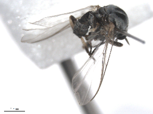  ( - BIOUG02455-E01)  @12 [ ] CreativeCommons - Attribution (2012) CBG Photography Group Centre for Biodiversity Genomics