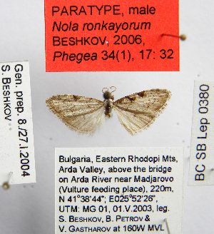 ( - BC_SB_Lep_0380)  @12 [ ] CreativeCommons - Attribution (2010) NMNH, Sofia, Bulgaria Centre for Biodiversity Genomics