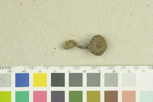  ( - O-F-259242)  @11 [ ] by-nc-sa (2022) Unspecified University of Oslo, Natural History Museum