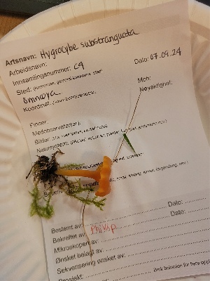 ( - O-F-260767)  @11 [ ] by-nc-sa (2025) Unspecified University of Oslo, Natural History Museum