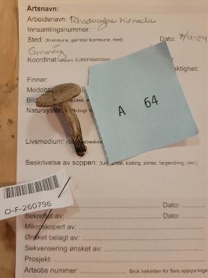 ( - O-F-260796)  @11 [ ] by-nc-sa (2025) Unspecified University of Oslo, Natural History Museum