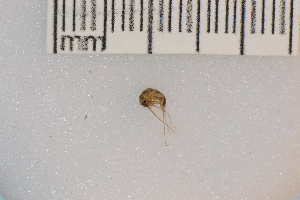  ( - NHMO-EPT_704)  @12 [ ] Unspecified (default): All Rights Reserved  Unspecified Unspecified