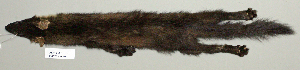  (Martes - NOMAM-086)  @13 [ ] Unspecified (default): All Rights Reserved  Unspecified Unspecified