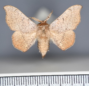  ( - CUIC_000131055)  @11 [ ] Unspecified (default): All Rights Reserved  Unspecified Unspecified