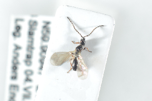 ( - HYMNI2473)  @12 [ ] CreativeCommons - Attribution Non-Commercial Share-Alike (2018) Arnstein Staverlokk Norwegian Institute of Nature Research