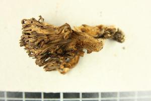  ( - O-F 294418)  @11 [ ] Unspecified (default): All Rights Reserved  Unspecified Unspecified
