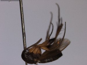  ( - TSZD-JKJ-101284)  @11 [ ] CreativeCommons - Attribution Non-Commercial Share-Alike (2018) Unspecified Tromsø University Museum