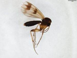  ( - TSZD-JKJ-102989)  @11 [ ] CreativeCommons - Attribution Non-Commercial Share-Alike (2017) Unspecified Tromsø University Museum