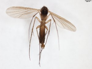  ( - TSZD-JKJ-102998)  @11 [ ] CreativeCommons - Attribution Non-Commercial Share-Alike (2017) Unspecified Tromsø University Museum
