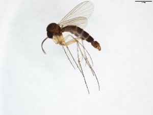  ( - TSZD-JKJ-103088)  @13 [ ] CreativeCommons - Attribution Non-Commercial Share-Alike (2017) Unspecified Tromsø University Museum