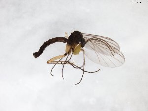  ( - TSZD-JKJ-103161)  @11 [ ] CreativeCommons - Attribution Non-Commercial Share-Alike (2017) Unspecified Tromsø University Museum