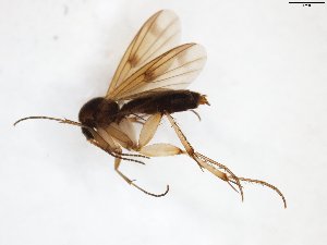  ( - TSZD-JKJ-103280)  @13 [ ] CreativeCommons - Attribution Non-Commercial Share-Alike (2017) Unspecified Tromsø University Museum