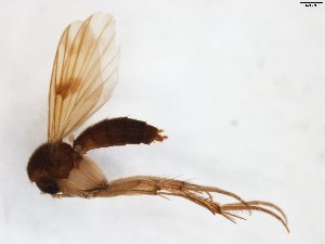  ( - TSZD-JKJ-103532)  @11 [ ] CreativeCommons - Attribution Non-Commercial Share-Alike (2017) Unspecified Tromsø University Museum
