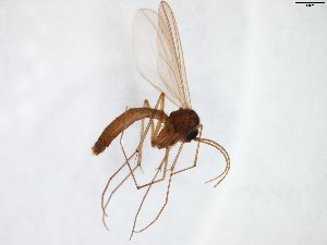  ( - TSZD-JKJ-103581)  @11 [ ] CreativeCommons - Attribution Non-Commercial Share-Alike (2017) Unspecified Tromsø University Museum