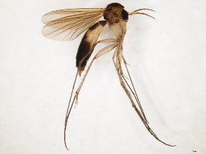  ( - TSZD-JKJ-104349)  @11 [ ] CreativeCommons - Attribution Non-Commercial Share-Alike (2018) Unspecified Tromsø University Museum