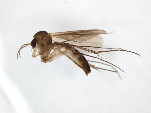 ( - TSZD-JKJ-104698)  @11 [ ] CreativeCommons - Attribution Non-Commercial Share-Alike (2018) Unspecified Tromsø University Museum