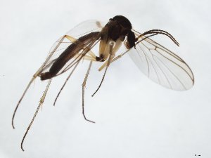  ( - TSZD-JKJ-104713)  @11 [ ] CreativeCommons - Attribution Non-Commercial Share-Alike (2018) Unspecified Tromsø University Museum