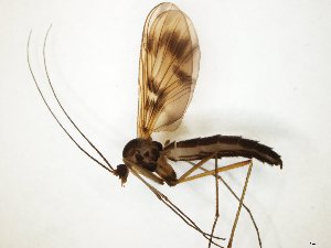  ( - TSZD-JKJ-104722)  @11 [ ] CreativeCommons - Attribution Non-Commercial Share-Alike (2018) Unspecified Tromsø University Museum