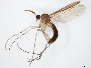  ( - TSZD-JKJ-104748)  @11 [ ] CreativeCommons - Attribution Non-Commercial Share-Alike (2018) Unspecified Tromsø University Museum
