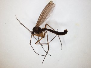  ( - TSZD-JKJ-104751)  @11 [ ] CreativeCommons - Attribution Non-Commercial Share-Alike (2018) Unspecified Tromsø University Museum