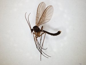  ( - TSZD-JKJ-104754)  @11 [ ] CreativeCommons - Attribution Non-Commercial Share-Alike (2018) Unspecified Tromsø University Museum
