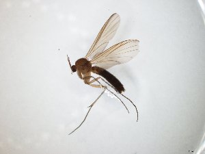  ( - TSZD-JKJ-104773)  @11 [ ] CreativeCommons - Attribution Non-Commercial Share-Alike (2018) Unspecified Tromsø University Museum