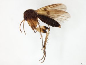  ( - TSZD-JKJ-104823)  @11 [ ] CreativeCommons - Attribution Non-Commercial Share-Alike (2018) Unspecified Tromsø University Museum