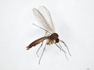  ( - TSZD-JKJ-104865)  @11 [ ] CreativeCommons - Attribution Non-Commercial Share-Alike (2018) Unspecified Tromsø University Museum