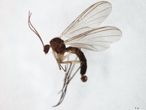  ( - TSZD-JKJ-104868)  @11 [ ] CreativeCommons - Attribution Non-Commercial Share-Alike (2018) Unspecified Tromsø University Museum