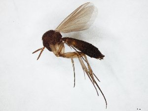  ( - TSZD-JKJ-104875)  @13 [ ] CreativeCommons - Attribution Non-Commercial Share-Alike (2018) Unspecified Tromsø University Museum